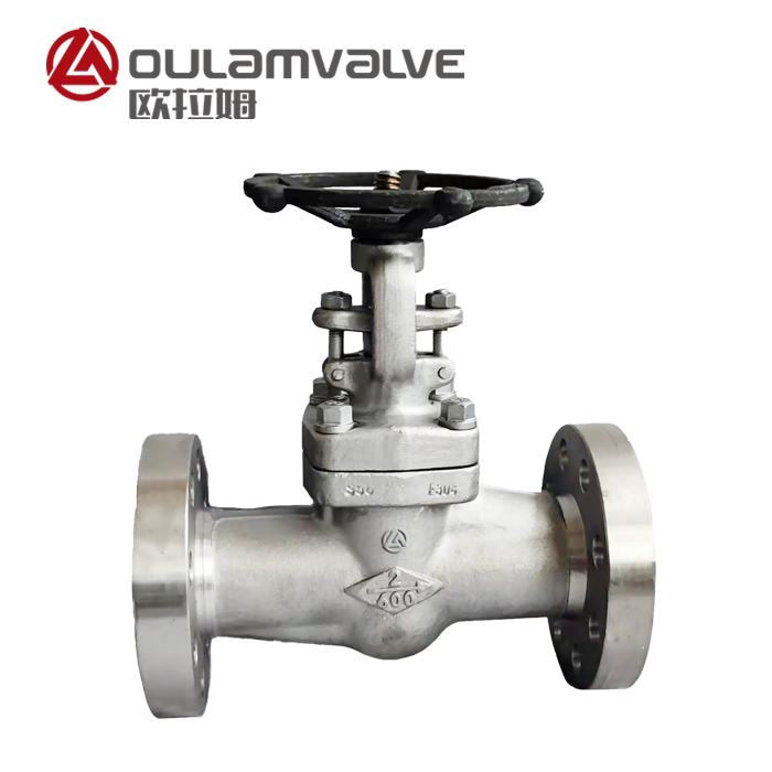 法蘭閘閥Z41W_電站系統_閘閥